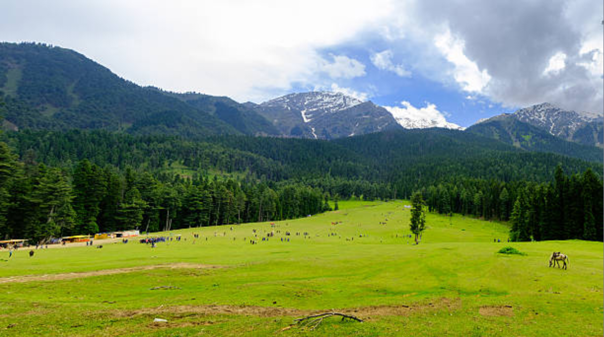Alpine Meadows